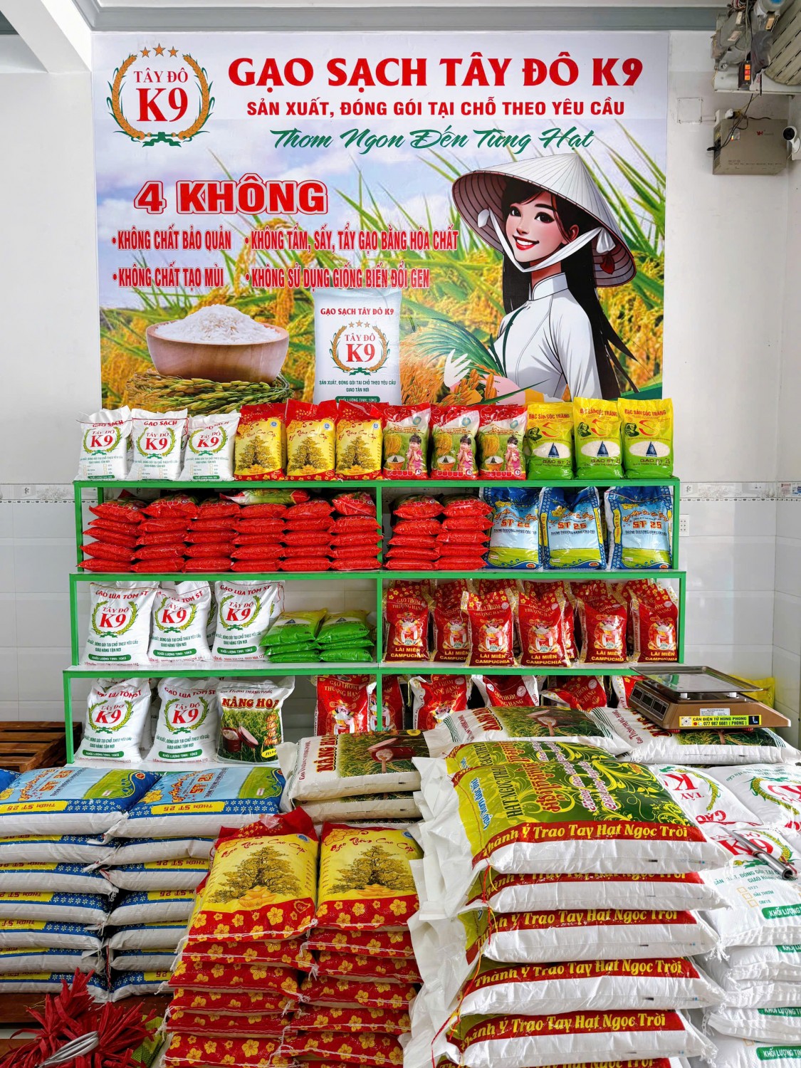 z7151231226809 c0578584f9378b341894d824be9b7c77