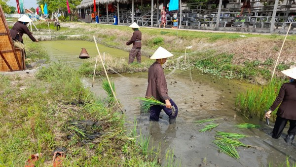 Khu du lịch Phương Nam - Đậm hương vị miền Tây